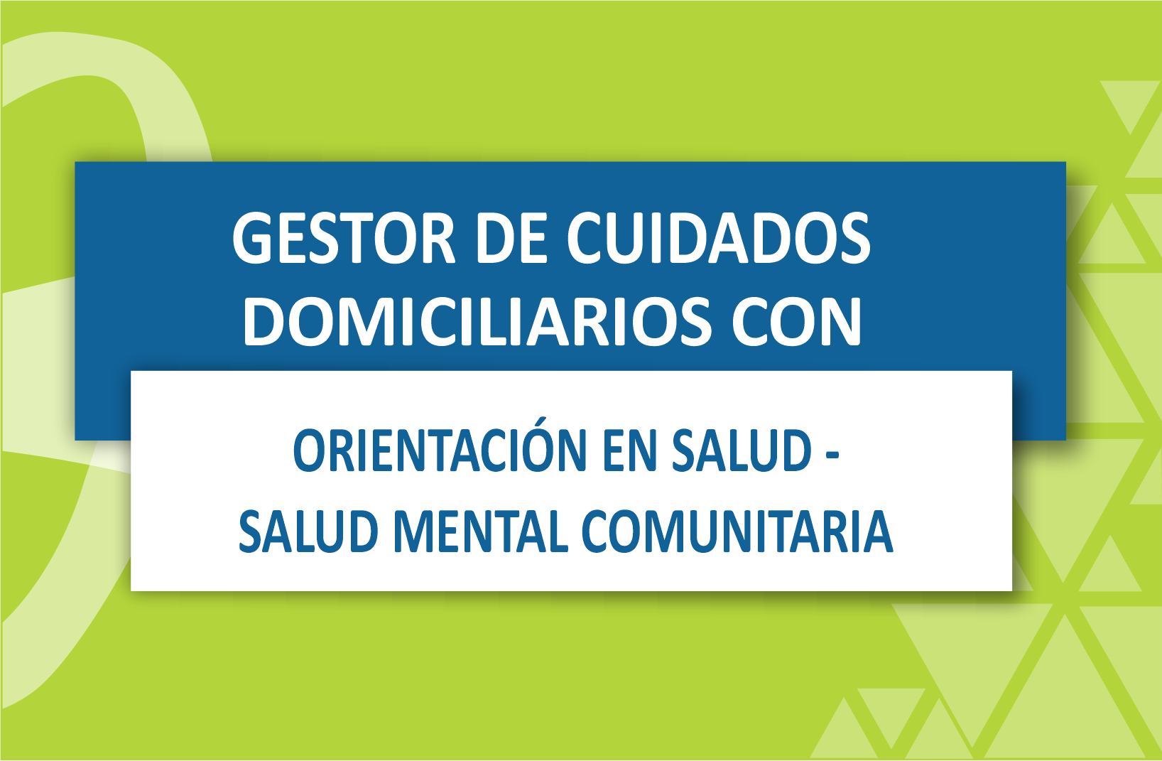 Curso de Extensión: "Gestor de Cuidados Domiciliarios con Orientación en Salud-Salud Mental Comunitaria"
